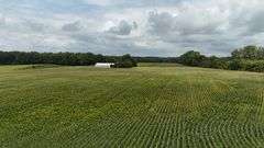 220+/- Acres White County Indiana Farm Auction