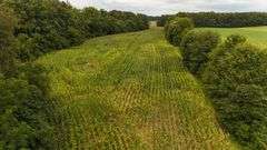 220+/- Acres White County Indiana Farm Auction