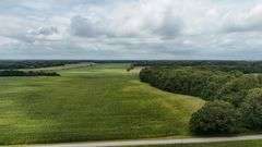220+/- Acres White County Indiana Farm Auction