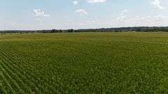 43 +/- Acres