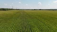 43 +/- Acres