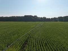 188 +/- Acres Starke County, Indiana Farm Auction