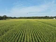 188 +/- Acres Starke County, Indiana Farm Auction
