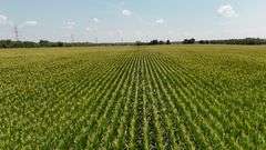 43 +/- Acres