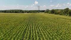 43 +/- Acres