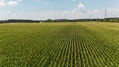 43 +/- Acres