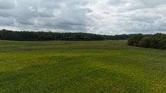 220+/- Acres White County Indiana Farm Auction