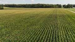 220+/- Acres White County Indiana Farm Auction