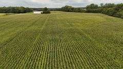 220+/- Acres White County Indiana Farm Auction