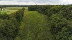 220+/- Acres White County Indiana Farm Auction