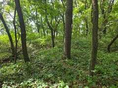 220+/- Acres White County Indiana Farm Auction