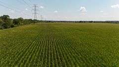 43 +/- Acres