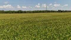 43 +/- Acres