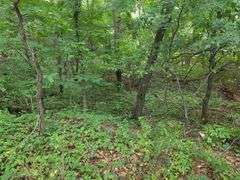 220+/- Acres White County Indiana Farm Auction