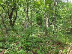 220+/- Acres White County Indiana Farm Auction