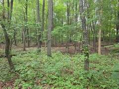 220+/- Acres White County Indiana Farm Auction