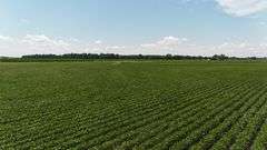 110 +/- Acres Carroll County, Indiana Farm Auction