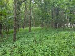 220+/- Acres White County Indiana Farm Auction