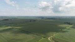 160+/- Acres