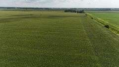240+/- Acres Starke County Farm Auction