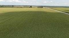 240+/- Acres Starke County Farm Auction