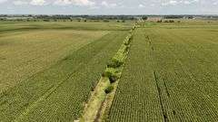 240+/- Acres Starke County Farm Auction