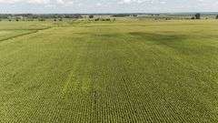 240+/- Acres Starke County Farm Auction