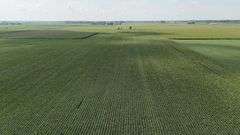 240+/- Acres Starke County Farm Auction