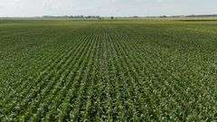 240+/- Acres Starke County Farm Auction