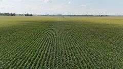 240+/- Acres Starke County Farm Auction