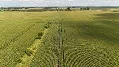 240+/- Acres Starke County Farm Auction