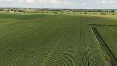 240+/- Acres Starke County Farm Auction