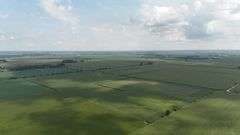 240+/- Acres Starke County Farm Auction