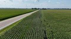 240+/- Acres Starke County Farm Auction