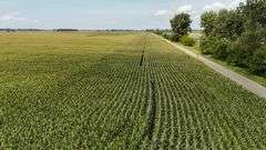 240+/- Acres Starke County Farm Auction