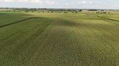 240+/- Acres Starke County Farm Auction