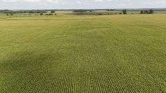 240+/- Acres Starke County Farm Auction