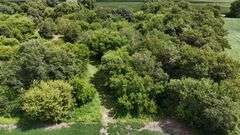 7 +/- Acres Home with Outbuildings