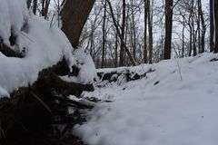 9 +/- Acres w/ House