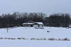 9 +/- Acres w/ House