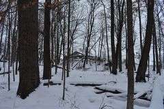 9 +/- Acres w/ House