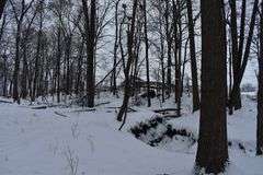 9 +/- Acres w/ House