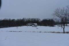 9 +/- Acres w/ House