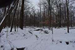 9 +/- Acres w/ House