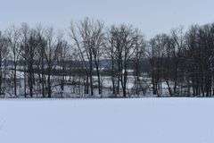 9 +/- Acres w/ House