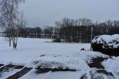 9 +/- Acres w/ House