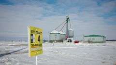 6 +/- ACRES: Shop & Grain Storage