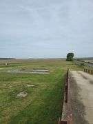 3.5 +/- Acres