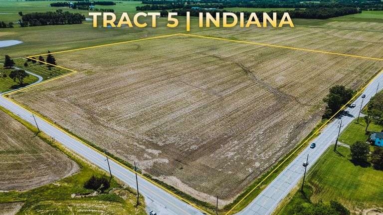 IN-5: 37 +/- Acres
