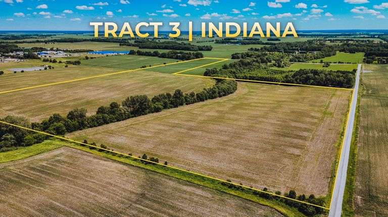 IN-3: 60 +/- Acres